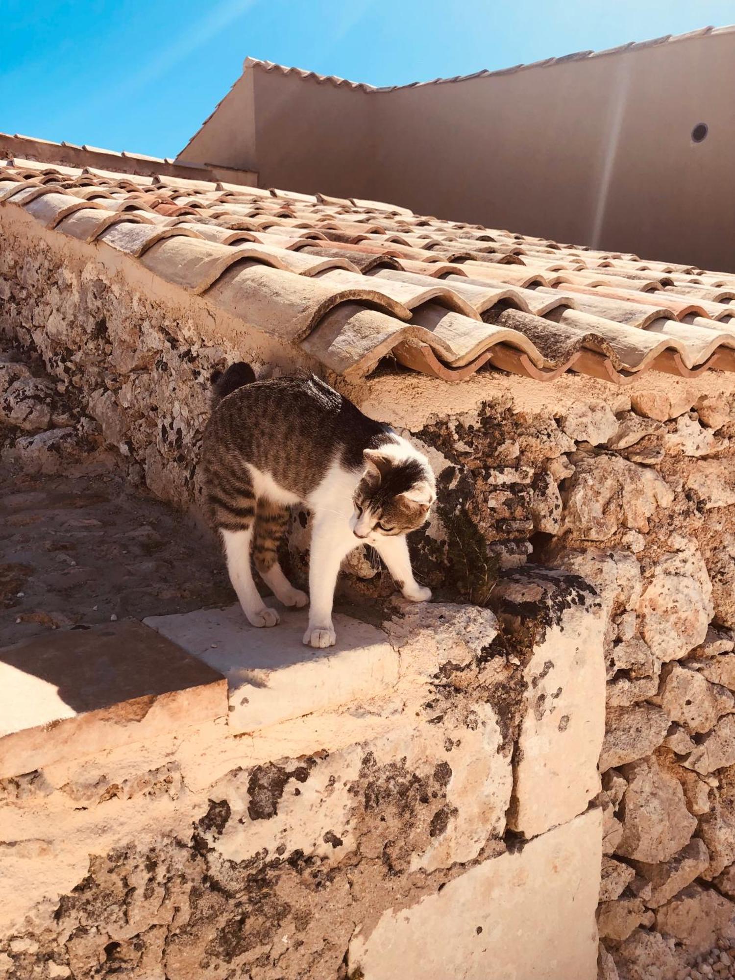 Casa Imayah Charming B&B Noto Kültér fotó