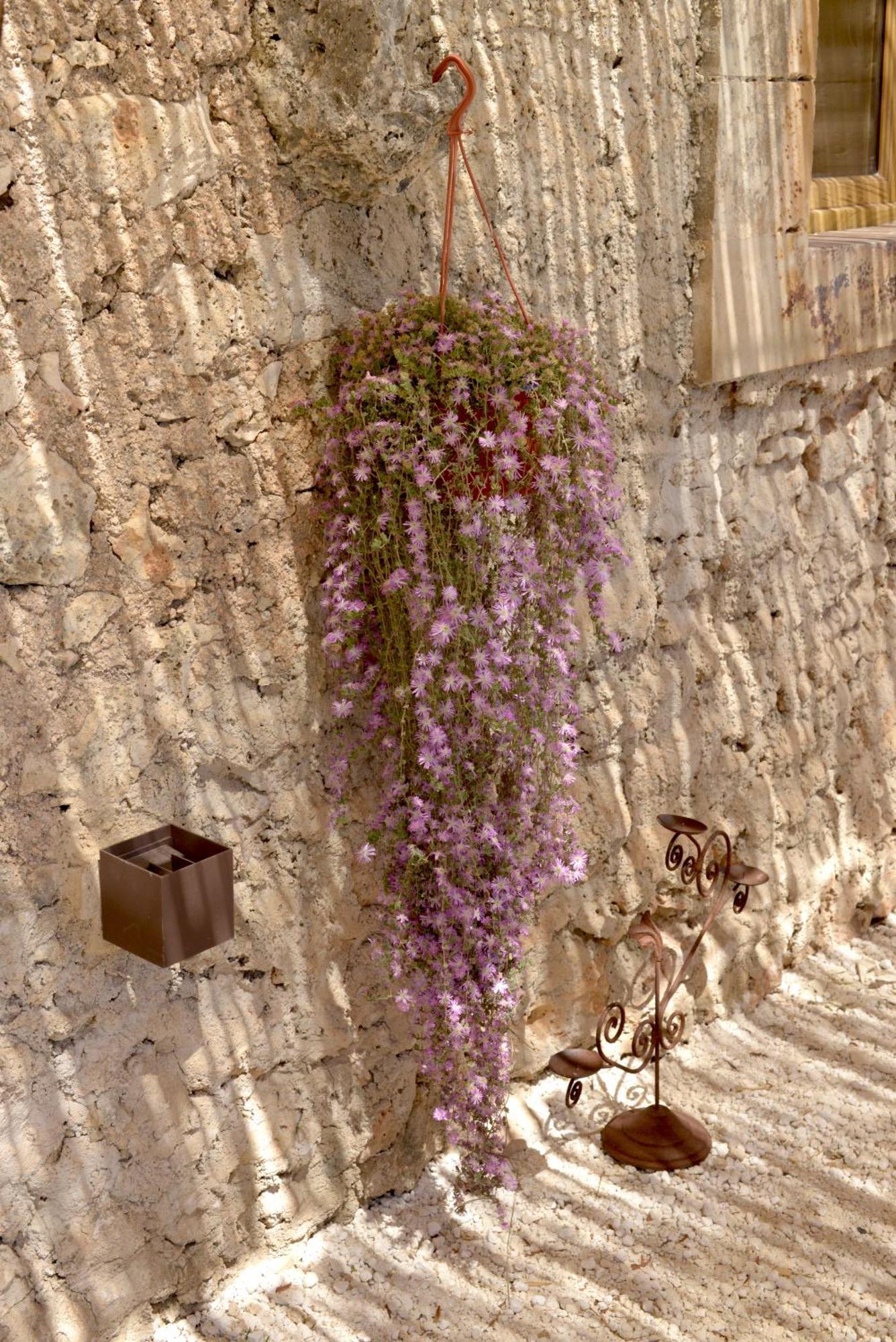 Casa Imayah Charming B&B Noto Kültér fotó